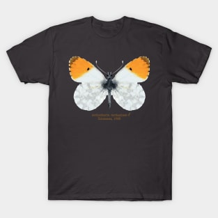 Orange tip butterfly T-Shirt